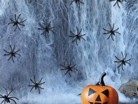 60g Halloween Spider Web Decoration, with 30pcs Fake Spiders, Stretchable Halloween Cobwebs for Halloween Decorations Online now