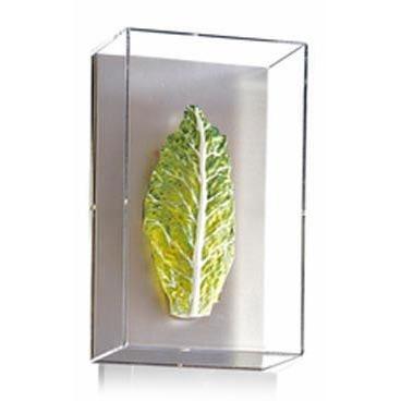 Tommy Mitchell Small Vegetable Study Series 3 0003SVS Supply