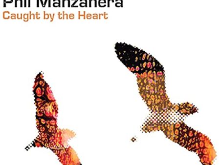 FINN, TIM & PHIL MANZANERA - CAUGHT BY THE HEART Sale