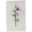 Tommy Mitchell Painted Orchid Studies 6 0006POS on Sale