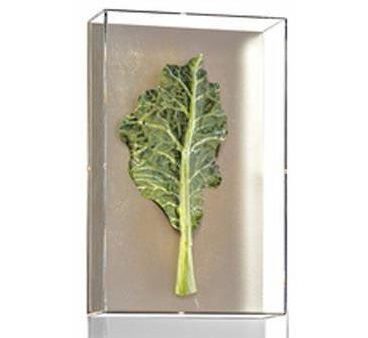 Tommy Mitchell Small Vegetable Study Series 4 0004SVS Online Hot Sale