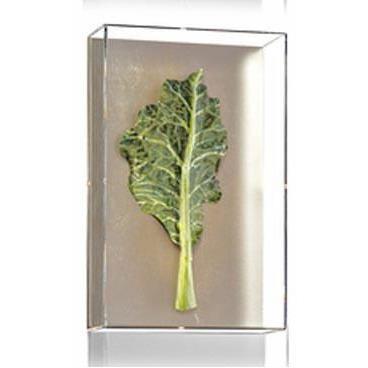 Tommy Mitchell Small Vegetable Study Series 4 0004SVS Online Hot Sale