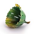 Franz Collection Rain Forest Frog Bowl FZ01870 For Discount