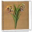 Tommy Mitchell Vanda Orchid Studies - Painted & Guilded 9 0009LVSPG For Sale